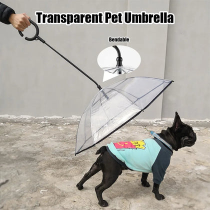 Transparent Dog Umbrella