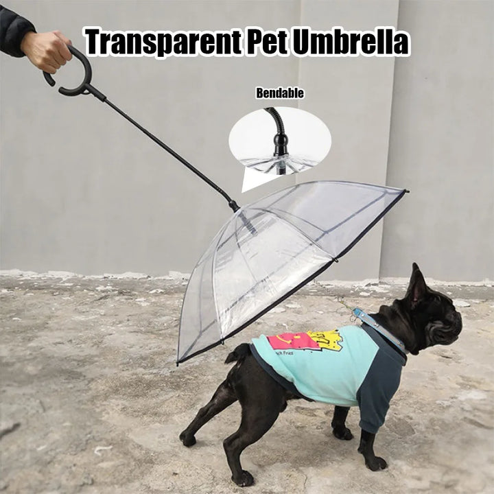 Transparent Dog Umbrella