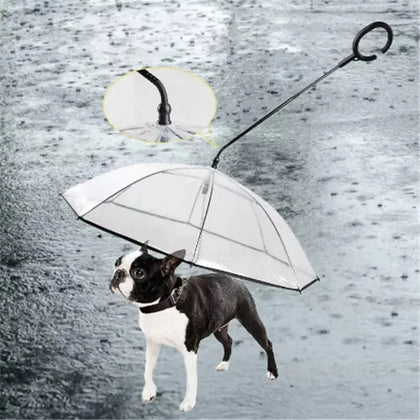 Transparent Dog Umbrella